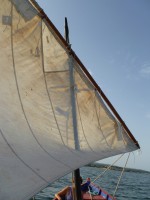 /album/galerie-photos/p1020436-jpg/