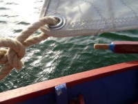 /album/galerie-photos/p1020438-jpg/