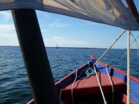 /album/galerie-photos/p1020529-jpg/