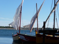 /album/galerie-photos/p1020533-jpg/