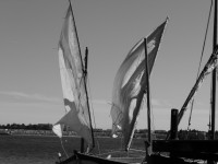 /album/galerie-photos/p1020534-jpg/