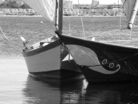 /album/galerie-photos/p1020535-jpg/