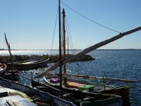 /album/galerie-photos/p1020536-jpg/