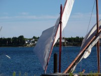 /album/galerie-photos/p1020537-jpg/