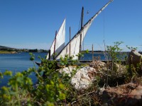 /album/galerie-photos/p1020538-jpg/