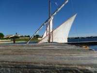 /album/galerie-photos/p1020539-jpg/