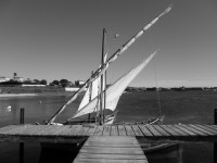 /album/galerie-photos/p1020540-jpg/