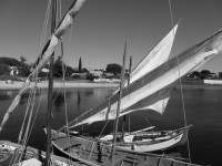 /album/galerie-photos/p1020541-jpg/