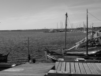 /album/galerie-photos/p1020545-jpg/